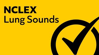 Lung Sounds  NCLEX Review [upl. by Littlejohn76]