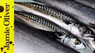 How to Fillet Sardines  Jamie Oliver [upl. by Aryhs]