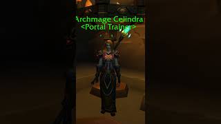 The War Within  Mage portal trainer in Dornogal worldofwarcraft [upl. by Salomi]