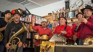 Fanfare Ciocarlia NPR Music Tiny Desk Concert [upl. by Balough899]