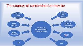 SOURCES OF CONTAMINATION IN FOOD [upl. by Eima394]