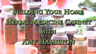 Building Your Home Herbal Medicine Cabinet with Amy Hamilton [upl. by Ltsyrk213]