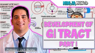 Gastrointestinal  Development amp Embryology of the GI Tract Part 1 [upl. by Etezzil880]