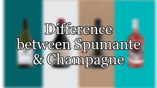 Difference between Spumante amp Champagne [upl. by Meehsar]