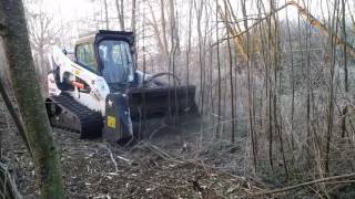 forestry cutter bobcat [upl. by Awad]