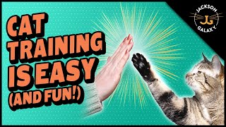 Clicker Training Your Cat is Easy and Fun [upl. by Esilenna]