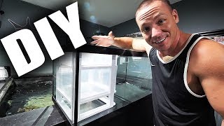 HOW TO Build a simple aquarium sump  The King of DIY [upl. by Levitt316]