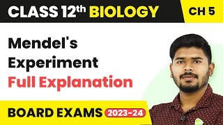 Mendels Experiment Full Explanation  Principles of Inheritance and Variation  Class 12 Biology [upl. by Frederich]