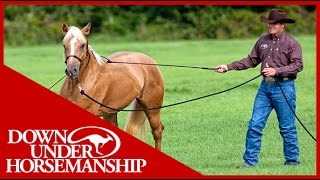 Clinton Anderson Training a Rescue Horse Part 1  Downunder Horsemanship [upl. by Eicarg]