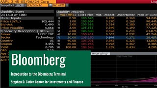 Introduction to the Bloomberg Terminal [upl. by Ardnayek]