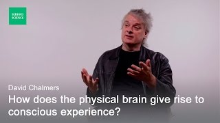 Hard Problem of Consciousness — David Chalmers [upl. by Yukio]