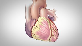 Cardiac Imaging Modalities [upl. by Alverta]