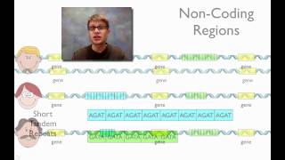 DNA Fingerprinting [upl. by Imotas]