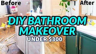 DIY BATHROOM MAKEOVER ON A BUDGET  BATHROOM REMODEL UNDER 300  EXTREME BATHROOM TRANSFORMATION [upl. by Nylzaj405]