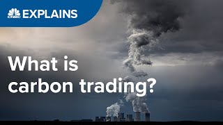 What is carbon trading  CNBC International [upl. by Ambrosi300]