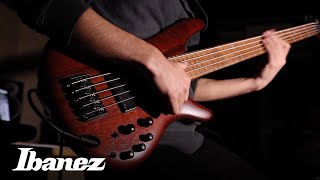 Ibanez SR500 Series Electric Bass [upl. by Darby787]