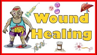 Wound Healing Mechanism Types Primary Secondary amp Tertiary intention of healing amp Complications [upl. by Race]