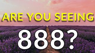 8 Reasons Why You Keep Seeing 888  888 Angel Number Meaning [upl. by Haelem743]