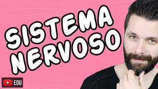 SISTEMA NERVOSO  FISIOLOGIA  Aula  Biologia com Samuel Cunha [upl. by Laro463]