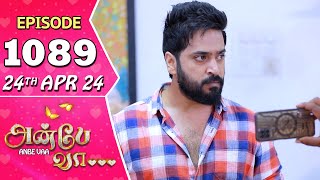 Anbe Vaa Serial  Episode 1089  24th April 24  Virat  Shree Gopika  Saregama TV Shows Tamil [upl. by Aicilaf]