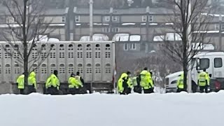 WATCH Ottawa Police begin clearing antimandate protest [upl. by Zerline]