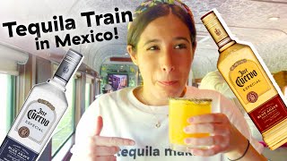 Trying The AllYouCanDrink Tequila Train In Mexico [upl. by Oos]