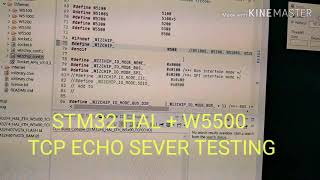 STM32 HAL  W5500 TCP ECHO SEVER TESTING [upl. by Iak162]