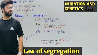 mendels law of segregation  Monohybrid Cross  Class 12 Biology [upl. by Chapman]