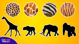 Guess the Animal Game and Learning to Count Animals [upl. by Eiclehc]