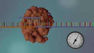 DNA Sequencing  3D [upl. by Ikkim]