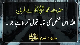 Hadees E Nabvi in urdu  Hadees Sharif  Hadees  Hadith  ISLAMIC HADEES Nabi ki baatein [upl. by Inama]