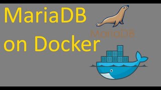 How to run Mariadb in Docker and Connect Remotely [upl. by Masao]