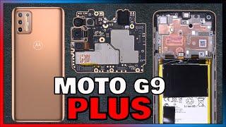 Motorola Moto G9 Plus Disassembly Teardown Repair Video Review [upl. by Mossman]