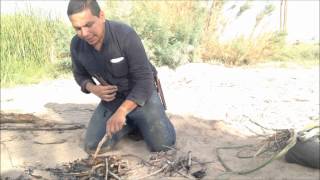 Desert Survival Food Cattails Typha latifolia [upl. by Ahsiken]