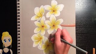 How to Draw Realistic Flowers With Colored Pencils [upl. by Dionne]