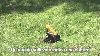 Trappola per talpe Talpirid Mole Trap [upl. by Aramois538]