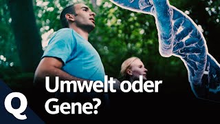 Genregulation So können wir unsere Gene beeinflussen Ganze Folge  Quarks [upl. by Euqinomod]