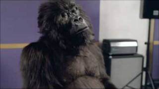 Cadburys Gorilla 60 second commercial [upl. by Miuqaoj]