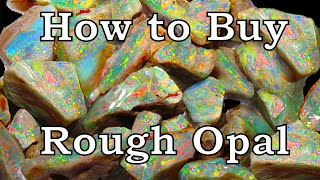 Rough Opal Buying Guide [upl. by Wymore]