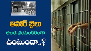 Tihar Jail Full Story in Telugu  Unknown Details And Facts About Tihar Jail in Telugu  Vigil Media [upl. by Mackenie]