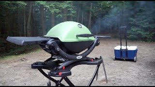 Weber Q Long Term Review [upl. by Punke]