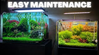 AQUARIUM MAINTENANCE FOR BEGINNERS  QUICK AND SIMPLE [upl. by Sumner]