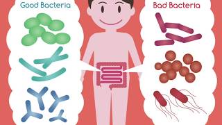 Common Food Poisoning Bacteria part 1 [upl. by Ramsdell]