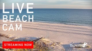 Live Beach Cam Orange Beach Alabama [upl. by Atilemrac]