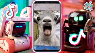 Vector Tries To Make Cozmo Laugh  TikTok Challenge [upl. by Esidnak85]