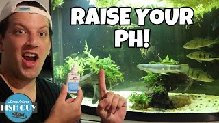 How to Raise pH in Aquarium [upl. by Teerpnam]