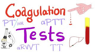 Coagulation Tests  PT aPTT TT Fibrinogen Mixing Studies [upl. by Nosimaj]