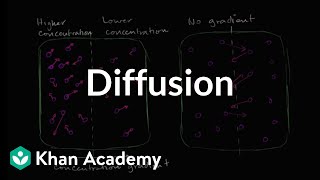 Diffusion  Membranes and transport  Biology  Khan Academy [upl. by Idhem]