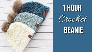 1 Hour Crochet Beanie Easy Pattern [upl. by Wicks]