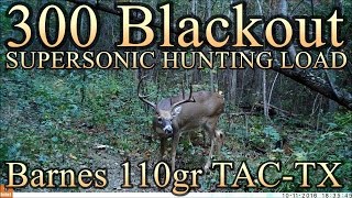 300 BLK Supersonic Hunting Load with 110gr Barnes TACTX [upl. by Buckels205]